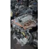 Toyota 2AZ-FXE 2.4L Hybrid Complete Engine With Gearbox
